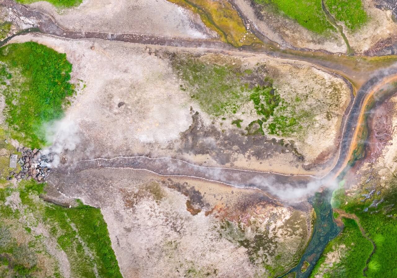 section image