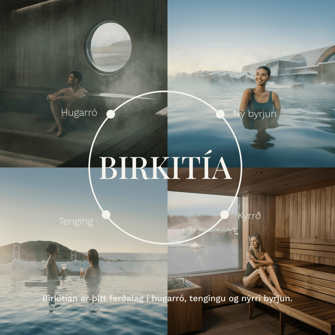 Birkitía